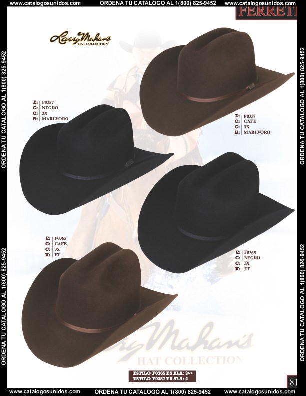 Ferreti2014 (Page 81)